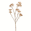 Vickerman FV194925 25" Artificial Beige Patrinia Spray, Set of 4