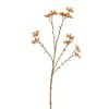 Vickerman FV195324 24" Artificial Beige Illicum Verum Spray, Set of 4