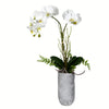 Vickerman FX191017 17" Artificial White Butterfly Orchid