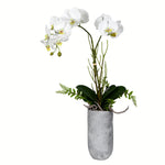 Vickerman FX191017 17" Artificial White Butterfly Orchid