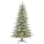 3.5' Frosted Eastern Fraser Fir Artificial Xmas Tree Warm White Dura-lit LED