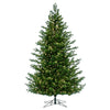 6.5' x 50" Eagle Fraser Fir Full Artificial Christmas Tree with Warm White LED.