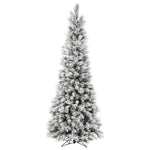 Vickerman 7' x 35" Flocked Ames Pine Pencil Artificial Christmas Tree Unlit