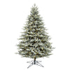 6.5' x 51" Douglas Blue Fir Artificial Christmas Tree Warm White Dura-lit LED