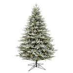 6.5' x 51" Douglas Blue Fir Artificial Christmas Tree Warm White Dura-lit LED