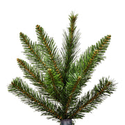 Vickerman 5.5' x 44