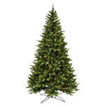 6.5' x 49" Bennington Spruce Artificial Christmas Tree Clear Dura-lit Lights