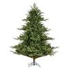 Vickerman  6.5' x 63" Sherwood Fir Artificial Christmas Tree Unlit