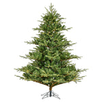 Vickerman  6.5' x 63" Sherwood Fir Tree LED. Features 2216 PE/PVC Tips