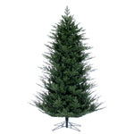 Vickerman 14' x 88" North Shore Fraser Fir Artificial Christmas Tree Unlit