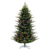 5.5' x 48" North Shore Fraser Fir Artificial Christmas Tree LED Colored Lights