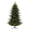 10' x 68" North Shore Fraser Fir Artificial Christmas Tree LED Colored Lights