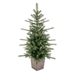 Vickerman  4' x 30" Winston Spruce Artificial Christmas Tree Unlit