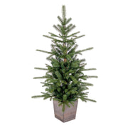 Vickerman  4' x 30