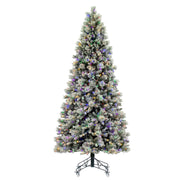 10' x 56