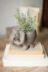 Kalalou H3336 Clay Elephant Planter