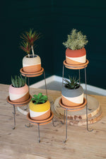 Kalalou H3804 Set of Five Color Dipped Clay Pots with Metal Bases