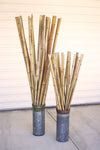 Kalalou H3921 Bundle of Twenty-Four Carrizo Poles 68 In Tall