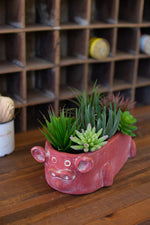 Kalalou H4075 Long Oval Clay Pig Vessel