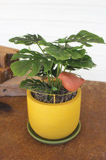 Kalalou H4098 Wire and Clay Planter with Perched Bird Detail