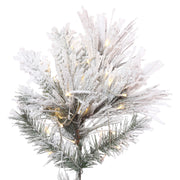 Vickerman 6.5' x 42