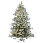 6.5' x 54" Flocked Kiana Christmas Tree Low Voltage LED Warm White Lights