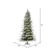 Vickerman 6.5' x 42
