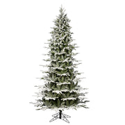 Vickerman 6.5' x 42
