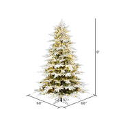 Vickerman 9' x 68