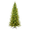 Vickerman 6.5' x 40" Balsam Spruce Slim Tree 850 Warm White Low Voltage 3MM LED