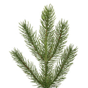Vickerman 5.5' x 45