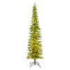 Vickerman 6.5' x 24" Compton Pole Pine Tree Warm White Low Voltage 3MM LED