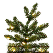 Vickerman 6.5' x 41