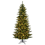 Vickerman 6.5' x 41" Slim Natural Fraser Fir Tree Warm White Dura-lit LED