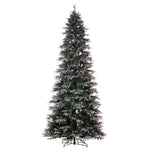 Vickerman 10' x 54" Frosted Douglas Fir Artificial Slim UnLit Christmas Tree