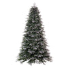 Vickerman 14' x 106" Frosted Douglas Fir Artificial UnLit Christmas Tree