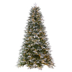 6.5' x 50" Frosted Douglas Fir Artificial Christmas Tree with Warm White LED