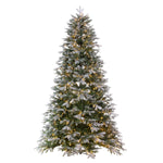 6.5' x 50" Frosted Douglas Fir Artificial Pre-Lit Xmas Tree Warm White 3mm LED