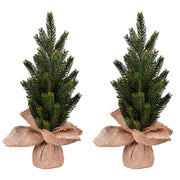 Vickerman 15