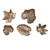 Uttermost 04063 Bronze Leaves Wall Art Set/5