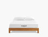 Modway Aveline 8" Queen Mattress