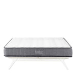 Modway Kate 8" Queen Mattress