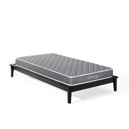 Modway Emma 6