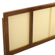 Modway MOD-6201 Delmare Cane Queen Headboard