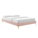 Modway Sutton Twin Performance Velvet Bed Frame