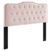 Modway MOD-6410 Sophia Tufted Performance Velvet Full/Queen Headboard