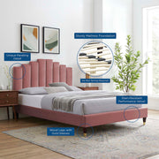 Modway MOD-6691 Elise Queen Performance Velvet Platform Bed