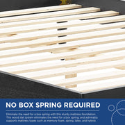 Modway MOD-6694 Sidney Cane and Wood King Platform Bed With Splayed Legs