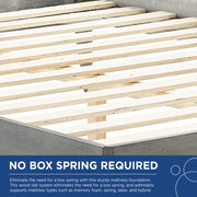 Modway MOD-6698 Kelsea Cane and Wood King Platform Bed With Splayed Legs