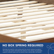 Modway MOD-6701 Sierra Cane and Wood King Platform Bed With Angular Legs